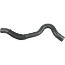 2420878 Kühlerschlauch