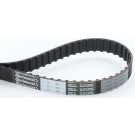 CT680 Zahnriemen CT680 Zahnriemen