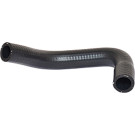 2420426 Kühlerschlauch