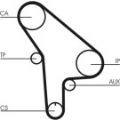 CT530 Zahnriemen CT530 Zahnriemen
