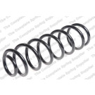 4272955 Fahrwerksfeder