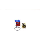Wahler | Thermostat, Kühlmittel | 4116.87D1