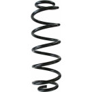 Spidan 2 x SPIDAN Fahrwerksfeder 87824