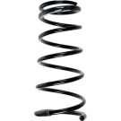 Spidan | Fahrwerksfeder | 55874