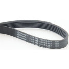 ContiTech | Keilrippenriemen | 6PK842 ELAST
