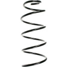 Spidan | Fahrwerksfeder | 55612