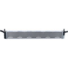 NRF | Kühler, Motorkühlung | 550148