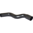2420251 Kühlerschlauch