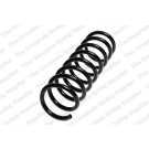 4255445 Fahrwerksfeder