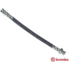 Brembo | Bremsschlauch | T 30 093