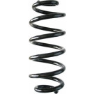 Spidan | Fahrwerksfeder | 87867