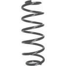 Spidan 2 x SPIDAN Fahrwerksfeder 87366