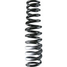 Spidan | Fahrwerksfeder | 85602