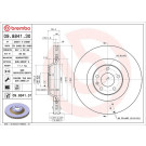 Brembo | Bremsscheibe | 09.8841.31