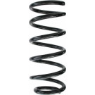 Spidan | Fahrwerksfeder | 87210