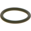 BOSCH | Dichtring | F 00R J01 452