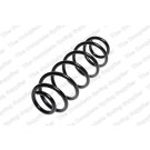 4215604 Fahrwerksfeder