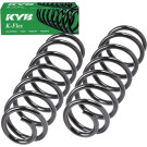 RA6077 Fahrwerksfeder K-Flex