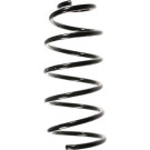Spidan | Fahrwerksfeder | 49554