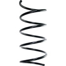 Spidan | Fahrwerksfeder | 85201