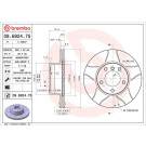 Brembo | Bremsscheibe | 09.6924.75
