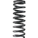 Spidan | Fahrwerksfeder | 49699