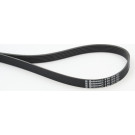 ContiTech | Keilrippenriemen | 6PK1318