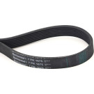 ContiTech | Keilrippenriemen | 7PK1675