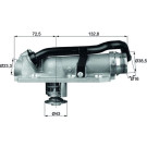 Mahle | Thermostat, Kühlmittel | TM 8 105