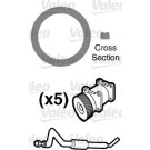 Valeo | Dichtung, Kühlmittelrohrleitung | 509555