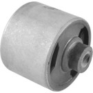 Tedgum | Lagerung, Motor | 00395841