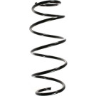 Spidan | Fahrwerksfeder | 55261