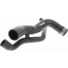 Vaico | Kühlerschlauch | V30-1769