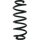 Spidan | Fahrwerksfeder | 87641