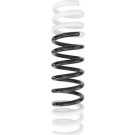 Spidan | Fahrwerksfeder | 85053