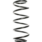Spidan | Fahrwerksfeder | 55977