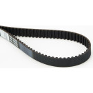 CT873 Zahnriemen CT873 Zahnriemen