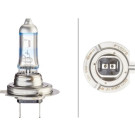 8GH 223 498-031 Glühlampe, Tagfahrleuchte PERFORMANCE UP TO 120%