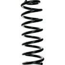 Spidan | Fahrwerksfeder | 49785