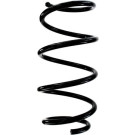 Spidan | Fahrwerksfeder | 87820