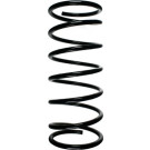 Spidan | Fahrwerksfeder | 49421