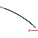 Brembo | Bremsschlauch | T 59 085