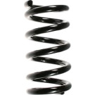 Spidan | Fahrwerksfeder | 49645