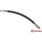 Brembo | Bremsschlauch | T 54 051