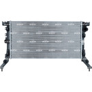 NRF | Kühler, Motorkühlung | 53027