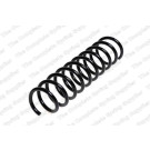 4295834 Fahrwerksfeder