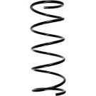 Spidan | Fahrwerksfeder | 49376
