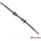 Brembo | Bremsschlauch | T 85 103