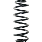 Spidan | Fahrwerksfeder | 56898