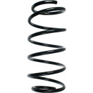 Spidan | Fahrwerksfeder | 48519